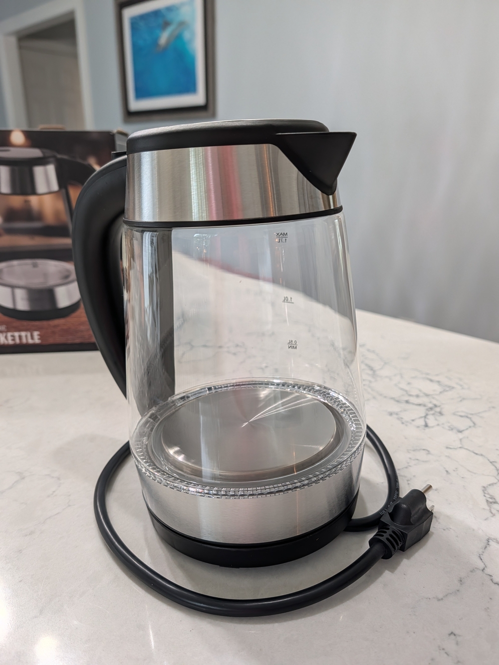 Glass Electric Kettle in Silver and Black - Corded Portable Kettle